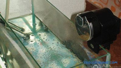 Како да направите аквариум со свои раце
