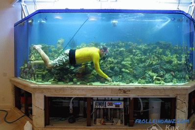 Како да направите аквариум со свои раце