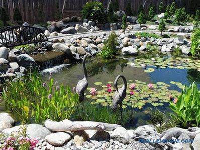 Езерце на летната куќа - изградбата на вештачки резервоар (+ фотографии)