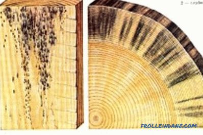 Заштита на дрвени структури од гнили и габи: препораки