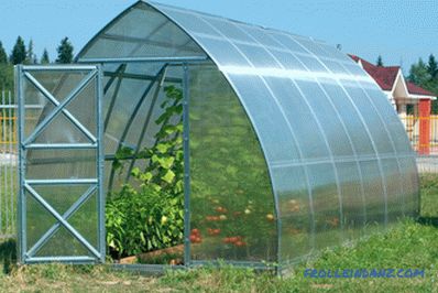 Како да се избере стаклена градина од поликарбонат