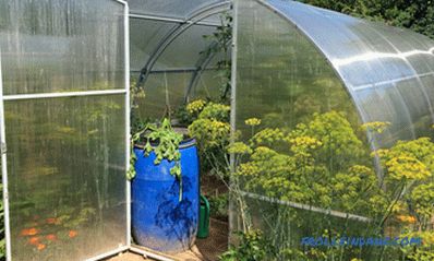 Како да се избере стаклена градина од поликарбонат