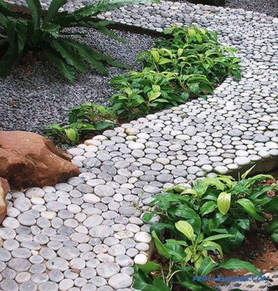 Уредување на градинарски патеки - сорти, карактеристики и инсталација