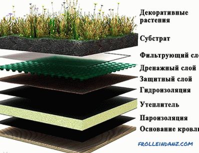 Како да се направи трева на покривот
