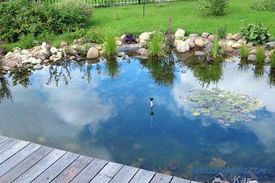 Вештачко езерце направете го тоа сами - како да направите езерце