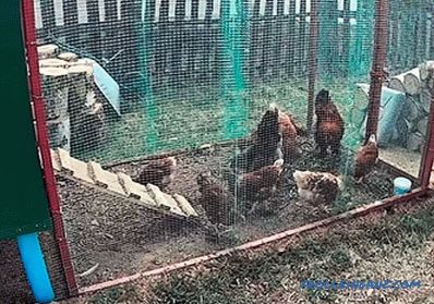 Како да се изгради пилешко кокошарник со свои раце