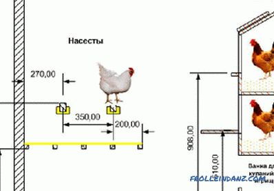 Како да се изгради пилешко кокошарник со свои раце